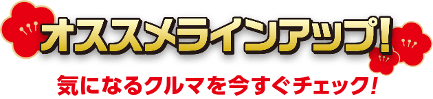 オススメラインアップ！ 気になるクルマを今すぐチェック！